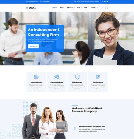 Reobiz Consulting Business Theme - Modern WordPress Design