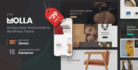 Molla MultiPurpose WooCommerce Theme - Ultimate eCommerce Solution