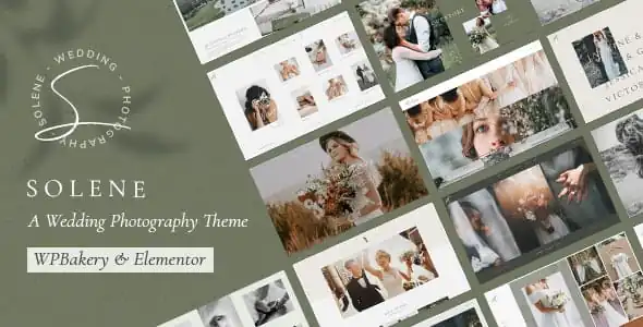 Solene Wedding Photography Theme 3.4