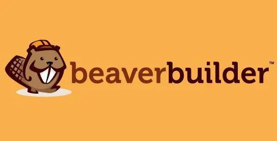 Beaver Themer Plugin