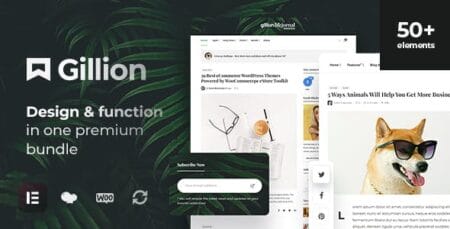 Gillion Blog Magazine And Shop Theme