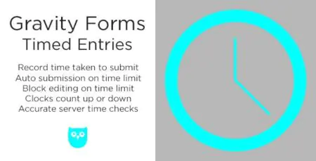 Gravity Forms Timed Entries