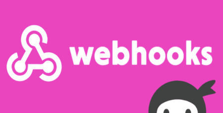 Ninja Forms Webhooks Extension