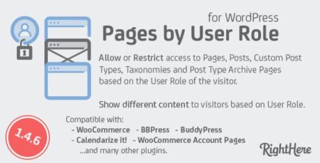 Pages by User Role for