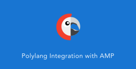 Polylang Extension for AMP