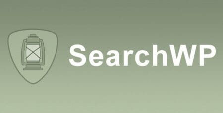 SearchWP Polylang Integration