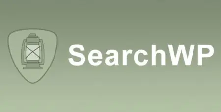 SearchWP Polylang Integration