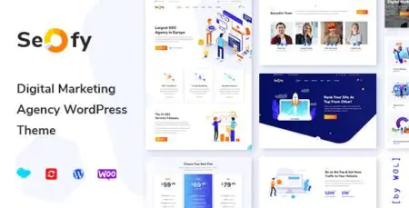 Seofy Digital And Marketing Theme