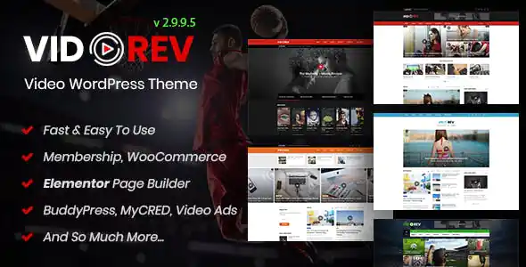 VidoRev-Video-WordPress-Theme-1.jpg
