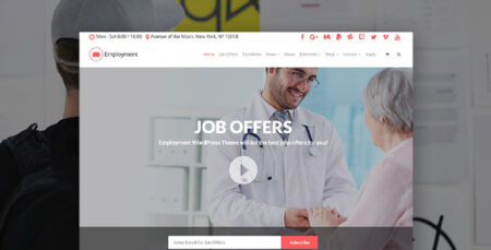 Visual Modo Employment Theme