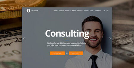 Visual Modo Financial Theme