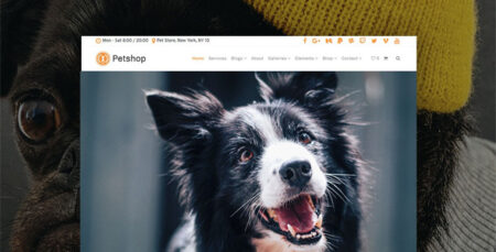 Visual Modo Petshop Theme