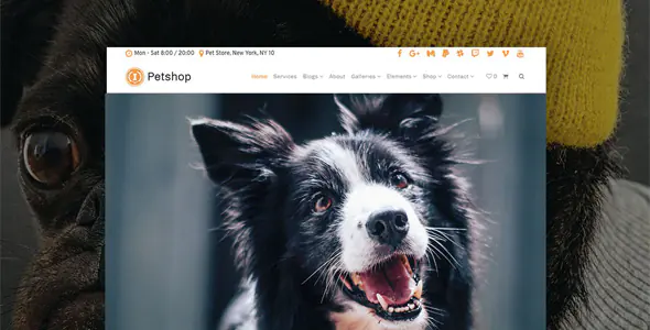 Visual-Modo-Petshop-WordPress-Theme-1.jpg