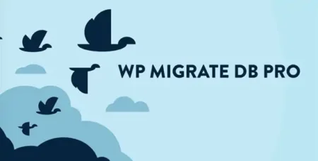 Migrate DB Pro