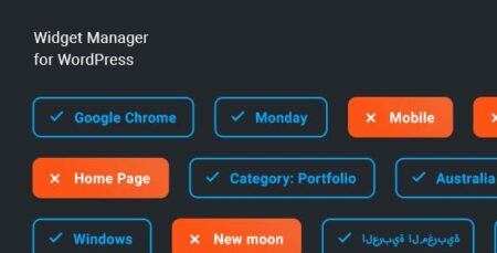 Widget Manager Management System