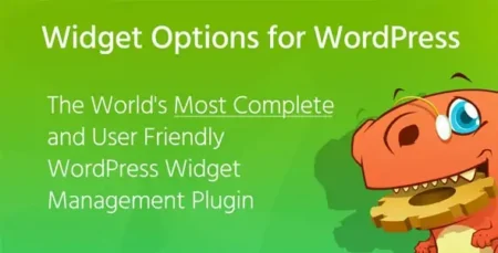 Widget Options Extended