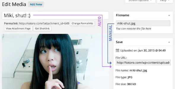 media-file-renamer-pro-1.jpg