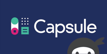 Ninja Forms Capsule CRM